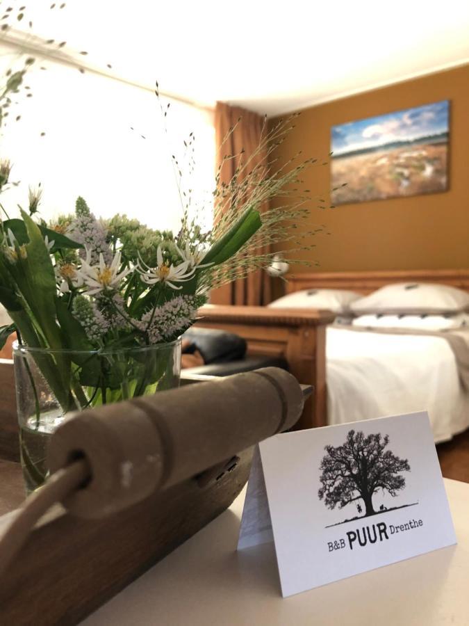 B&B Puur Drenthe Elp Bagian luar foto